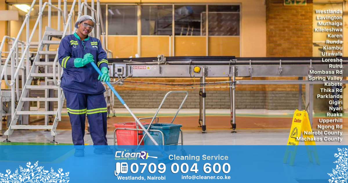 Professional cleaning services in Iten