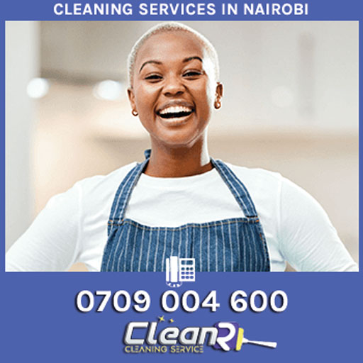 Domestic cleaning services in Nairobi by Cleaner-Kenya