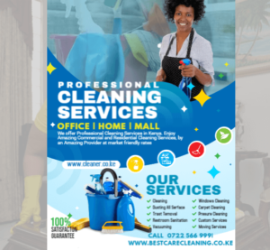 home cleaning professionals in nairobi kenya