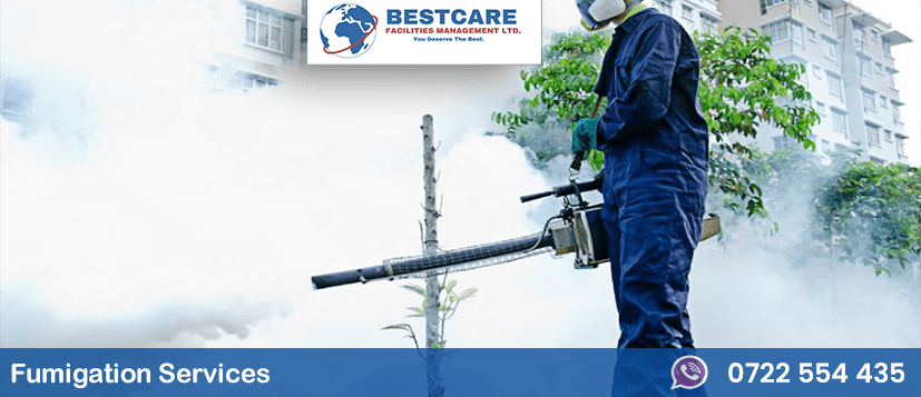 pest control and fumigation services in nairobi kenya